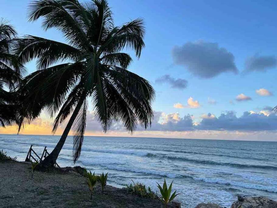 My Dream Beach House アグアダ エクステリア 写真