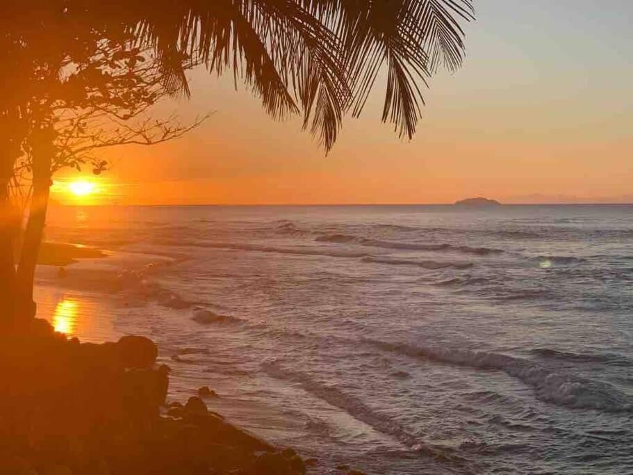My Dream Beach House アグアダ エクステリア 写真